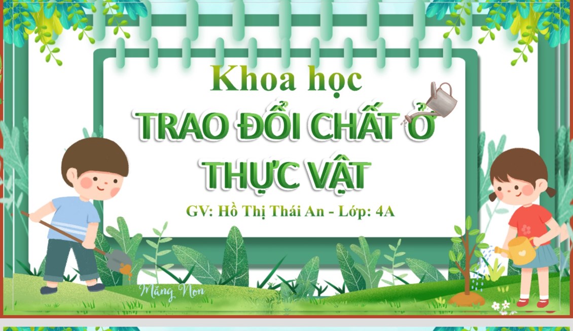 Ảnh đại diện